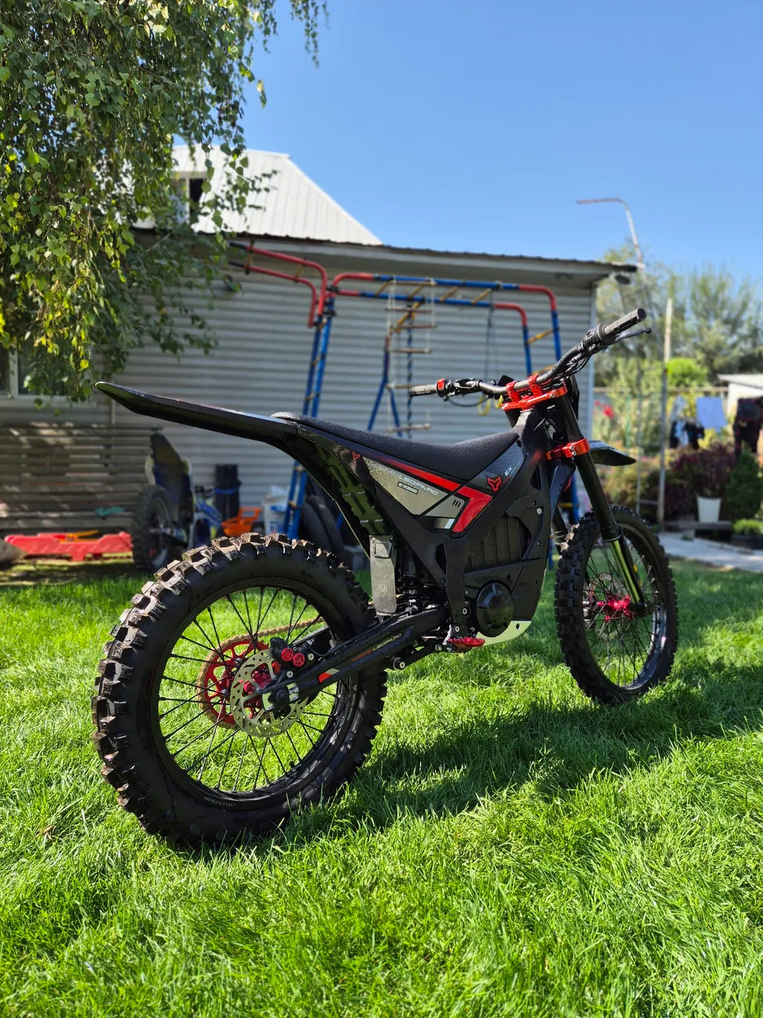 Arctic Leopard EX800 rear view: rear wheel, brake and swingarm