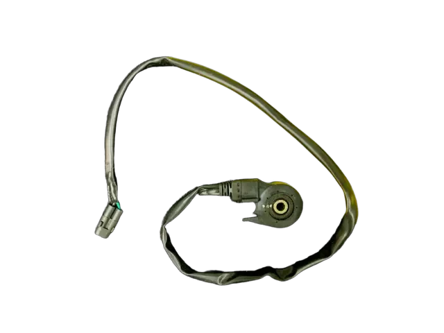 Footpeg sensor SUR-RON Ultra bee - Electrics and batteries, xBike in Almaty